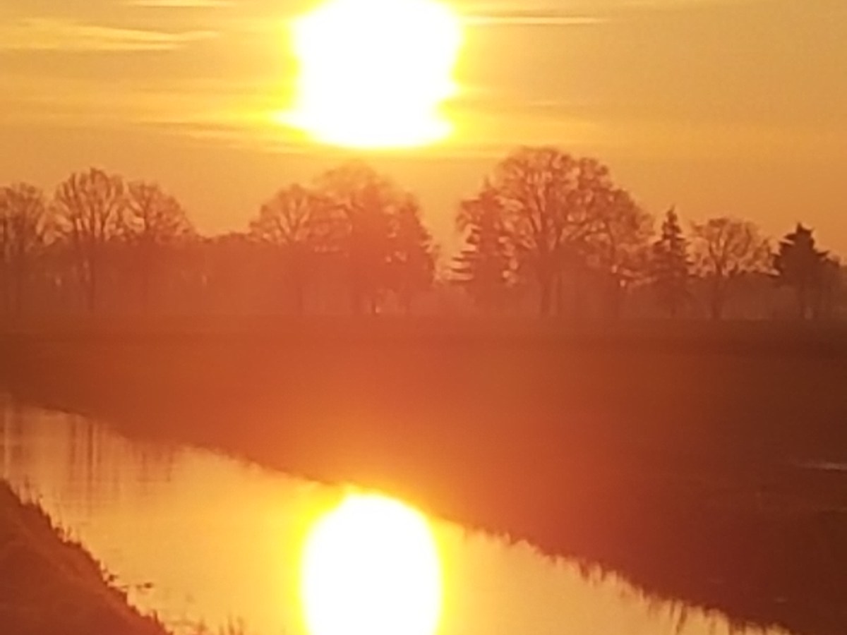 Gedachtenloos | Without&nbsp;thoughts