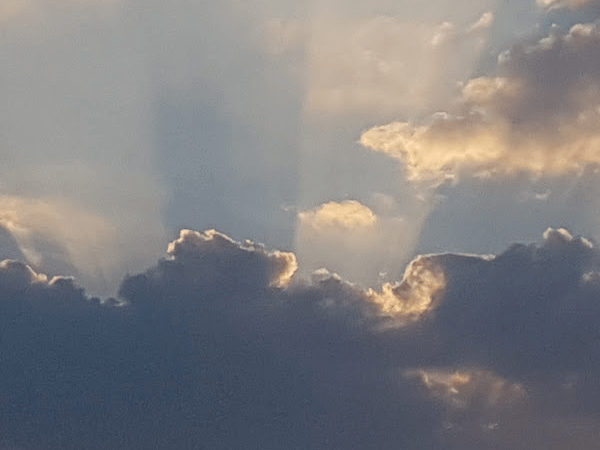 bewustzijn / awareness