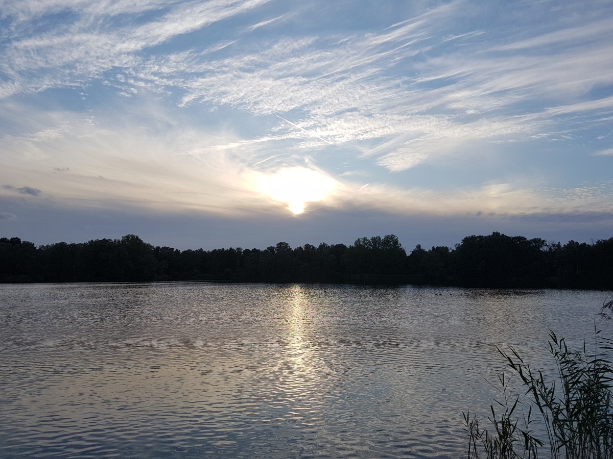 My interaction with&nbsp;AI