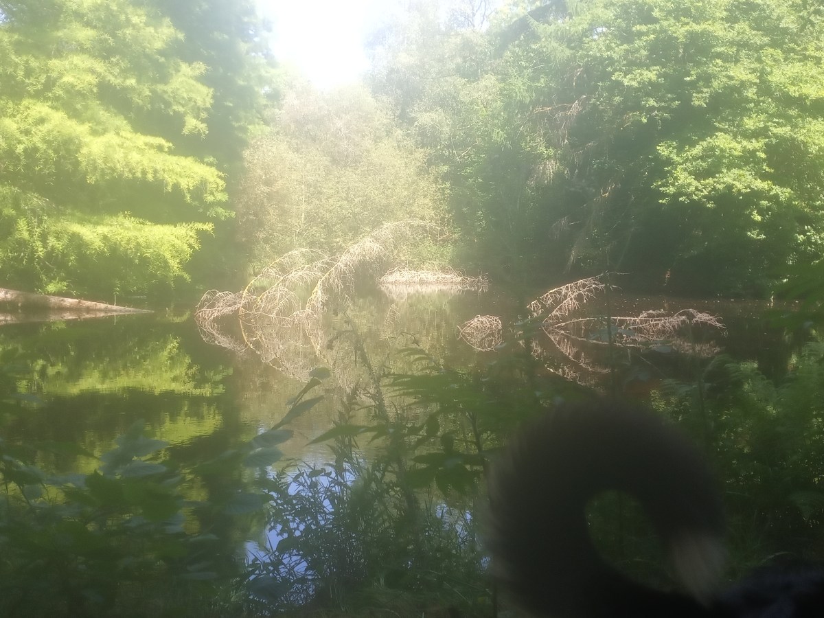 Je oorspronkelijke zelf | Your original&nbsp;self